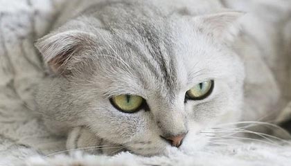开云-【夜读】​皮克：换血先拿我开刀